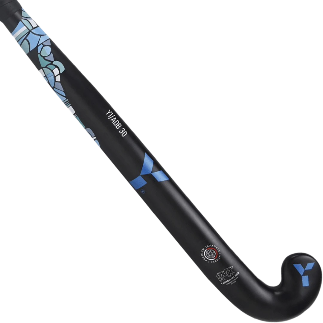 ADB 30 Jr (2024) 3 ADB 30 Jr (2024)